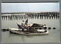 T2649 PARCS A MOULES L AIGUILLON SUR MER 85 VG FISHERMEN FISHING